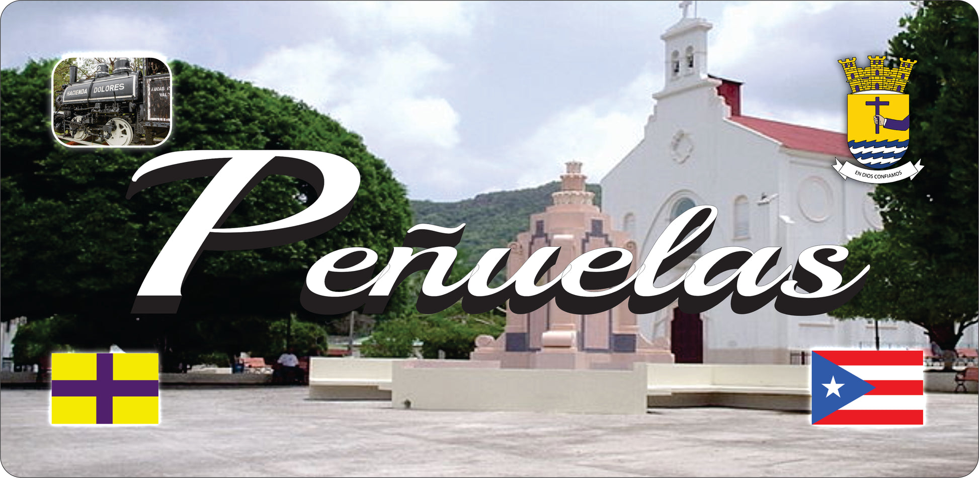 Placa de Puerto Rico y 78 Municipios