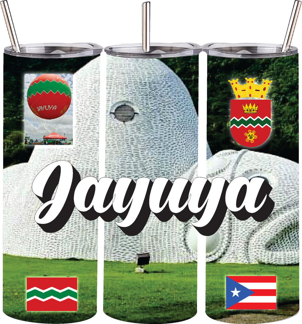 Vaso de acero inoxidable de doble pared de 20 oz con pajita para bebidas frías y calientes, Puerto Rico y 78 Tows