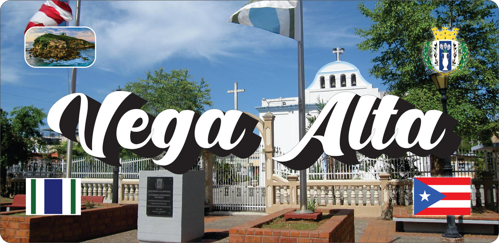 VEGA ALTA Puerto Rico Souvenirs PRS Town Set