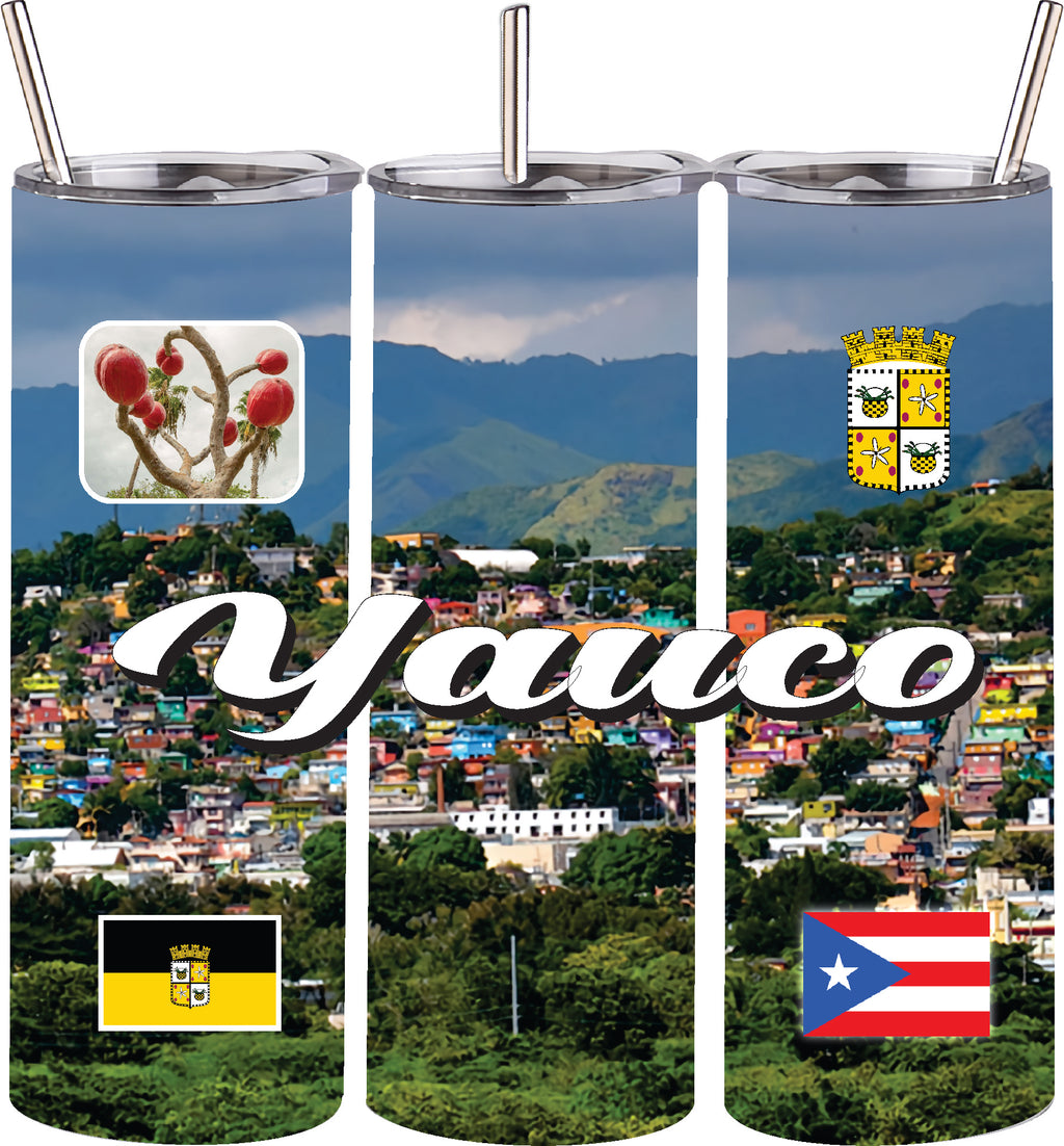 Vaso de acero inoxidable de doble pared de 20 oz con pajita para bebidas frías y calientes, Puerto Rico y 78 Tows