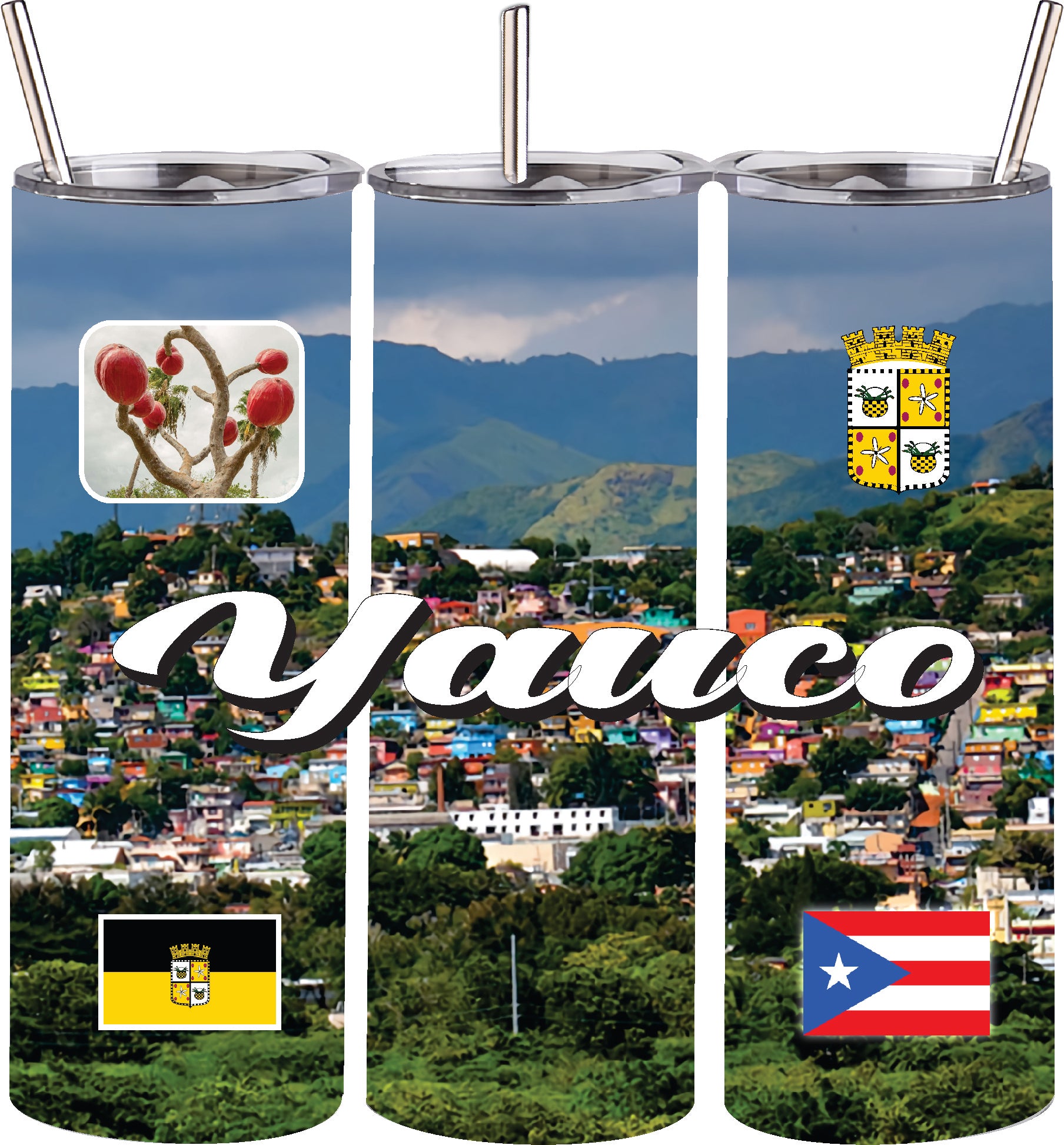 Puerto Rico and 78 Tows 20oz Double Wall S. Steel Tumbler with Straw Hot & Cold