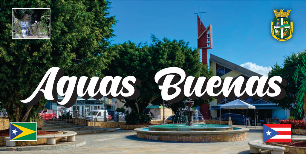 Aguas Buenas Puerto Rico Souvenirs PRS Town Set