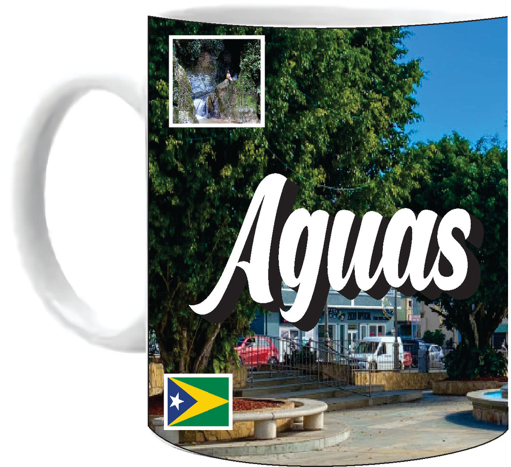 Aguas Buenas Puerto Rico Souvenirs PRS Town Set