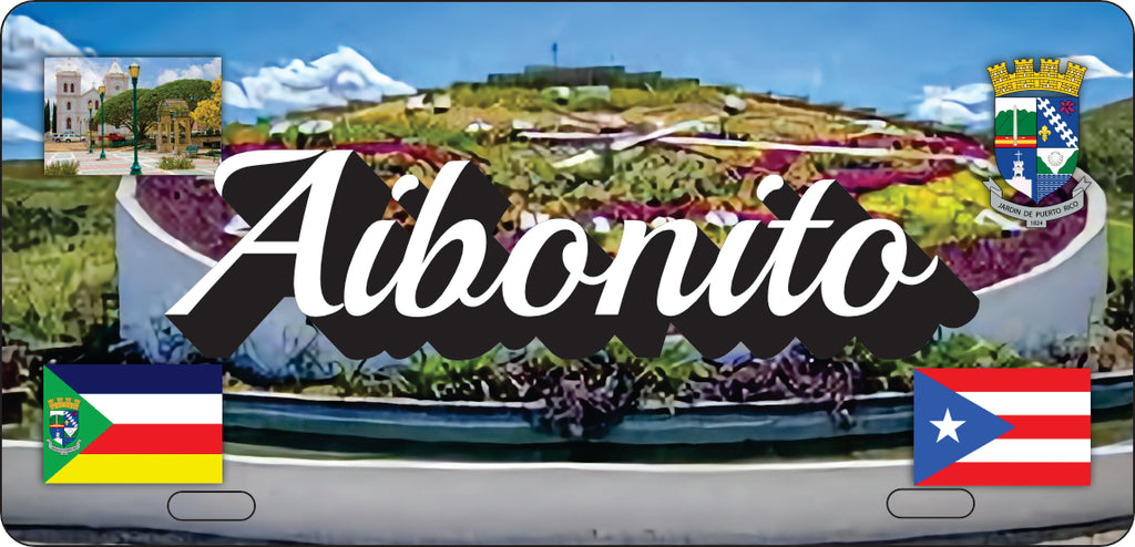 Aibonito Puerto Rico Souvenirs PRS Town Set