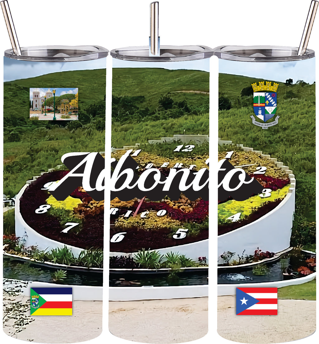 Vaso de acero inoxidable de doble pared de 20 oz con pajita para bebidas frías y calientes, Puerto Rico y 78 Tows