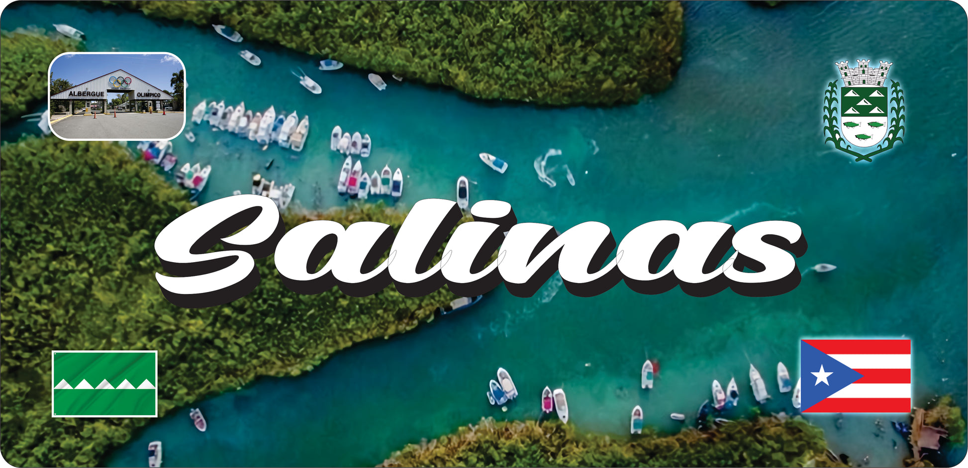 SALINAS Puerto Rico Souvenirs PRS Town Set