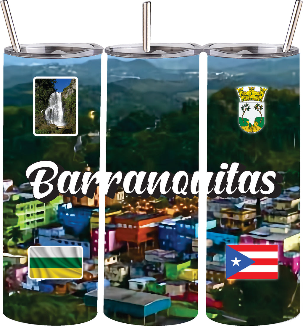 Vaso de acero inoxidable de doble pared de 20 oz con pajita para bebidas frías y calientes, Puerto Rico y 78 Tows