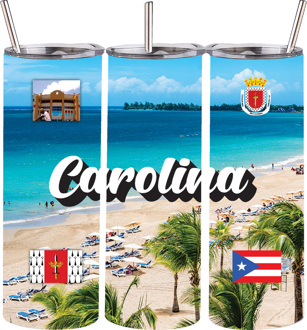 Vaso de acero inoxidable de doble pared de 20 oz con pajita para bebidas frías y calientes, Puerto Rico y 78 Tows