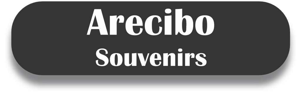 Arecibo Puerto Rico Souvenirs PRS Town Set