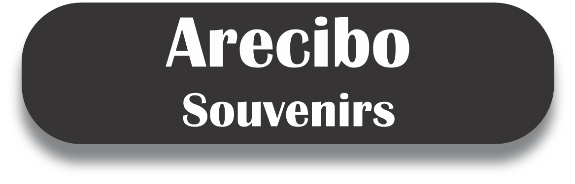 Arecibo Puerto Rico Souvenirs PRS Town Set