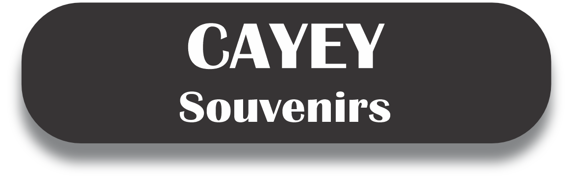 CAYEY Puerto Rico Souvenirs PRS Town Set