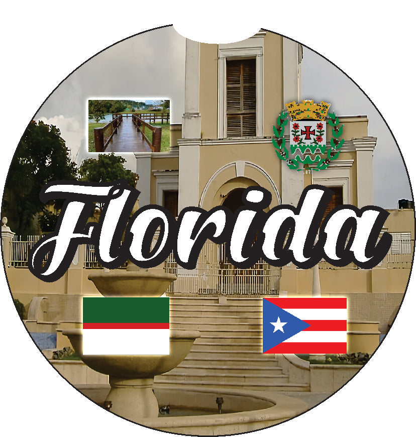 Posavasos de goma para coche de 2 piezas de Puerto Rico y 78 pueblos