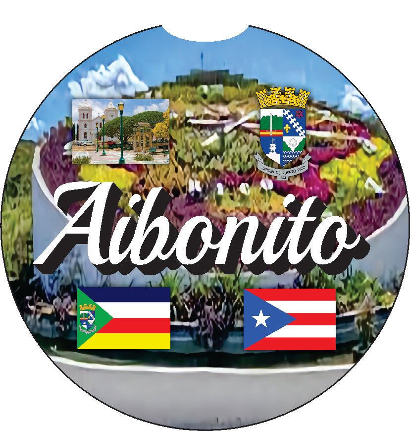 Aibonito Puerto Rico Souvenirs PRS Town Set