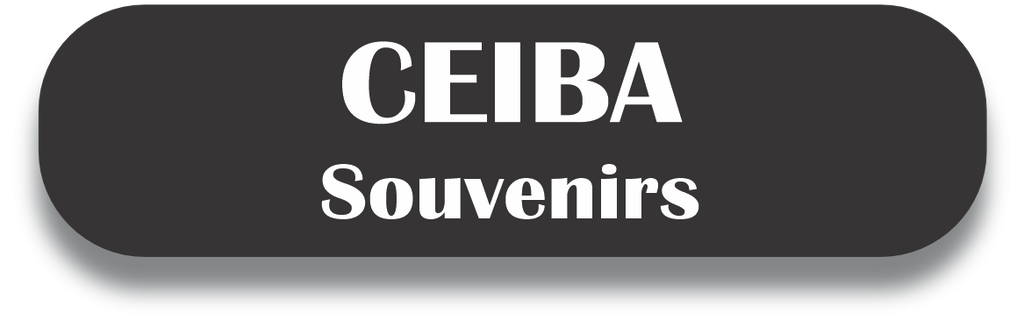 CEIBA Puerto Rico Souvenirs PRS Town Set