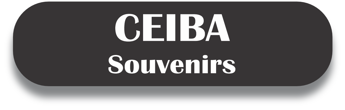 CEIBA Puerto Rico Souvenirs PRS Town Set