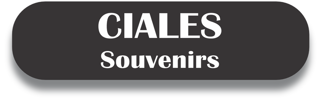 CIALES Puerto Rico Souvenirs PRS Town Set