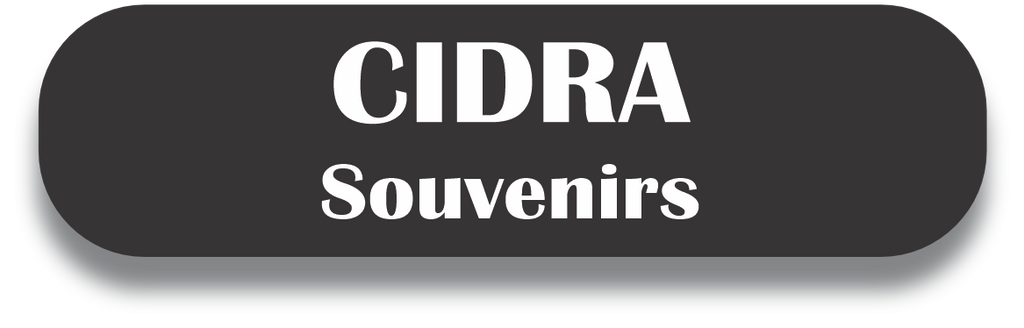 CIDRA Puerto Rico Souvenirs PRS Town Set