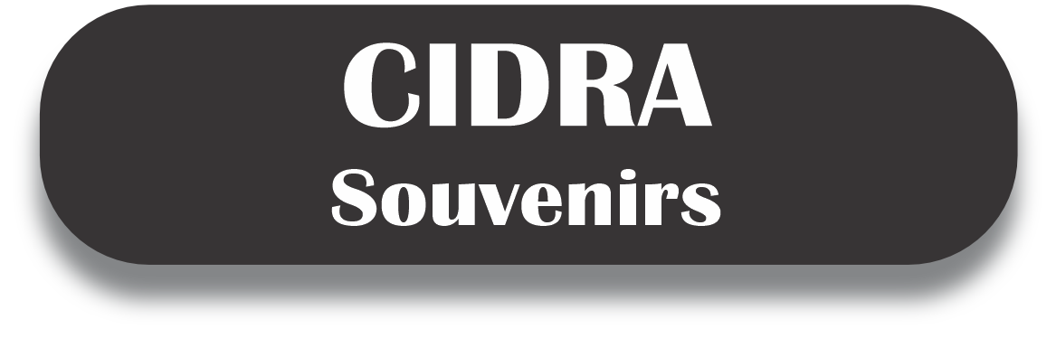 CIDRA Puerto Rico Souvenirs PRS Town Set