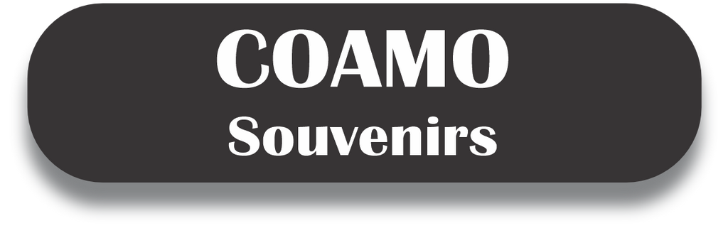 COAMO Puerto Rico Souvenirs PRS Town Set