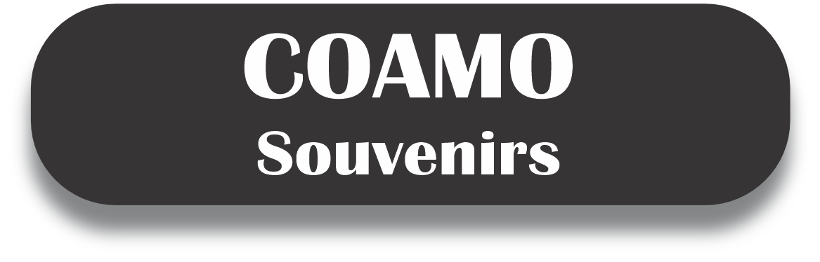 COAMO Puerto Rico Souvenirs PRS Town Set