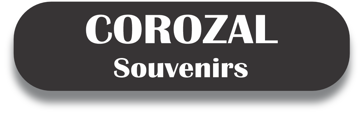 COROZAL Puerto Rico Souvenirs PRS Town Set