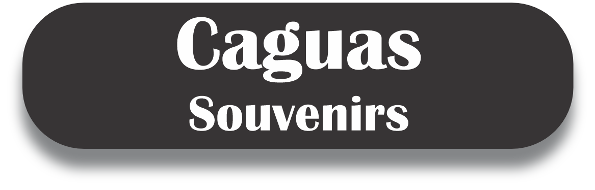 Caguas Puerto Rico Souvenirs PRS Town Set