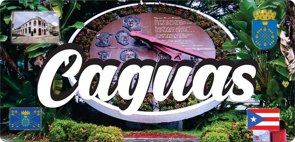 Caguas Puerto Rico Souvenirs PRS Town Set