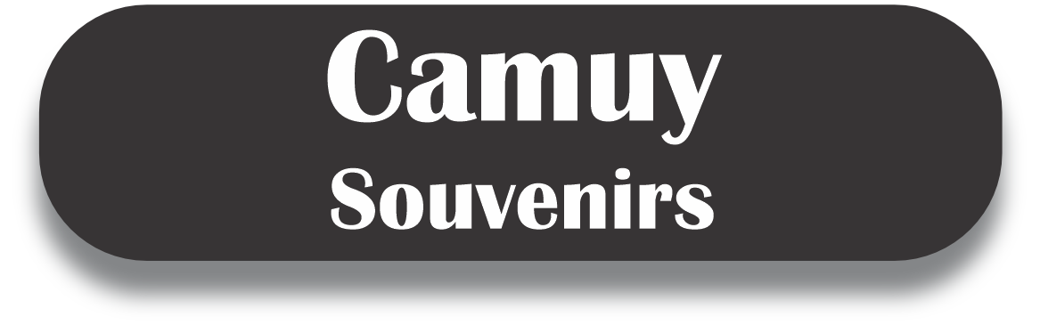 Camuy Puerto Rico Souvenirs PRS Town Set