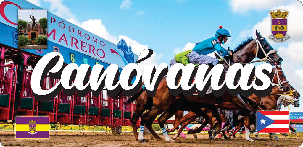 CANÓVANAS Puerto Rico Souvenirs PRS Town Set