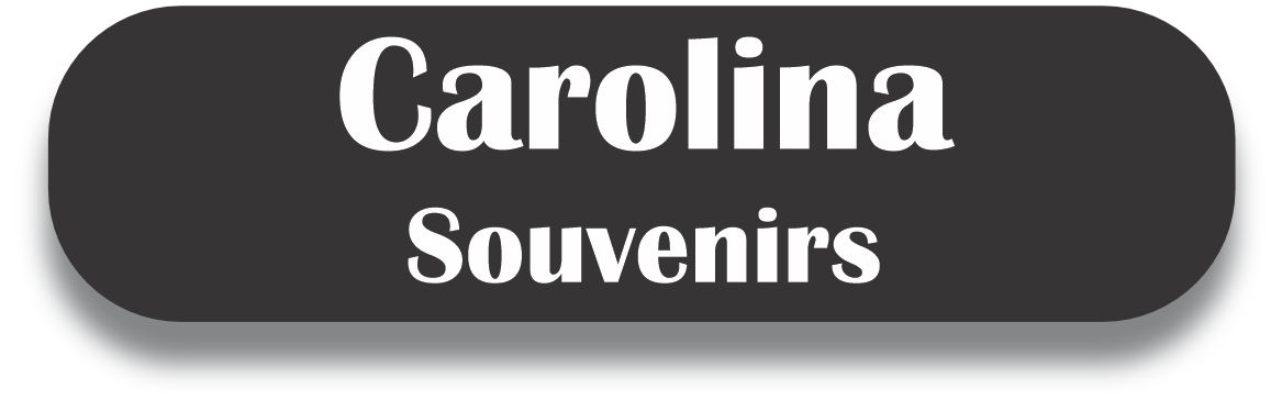 Carolina Puerto Rico Souvenirs PRS Town Set