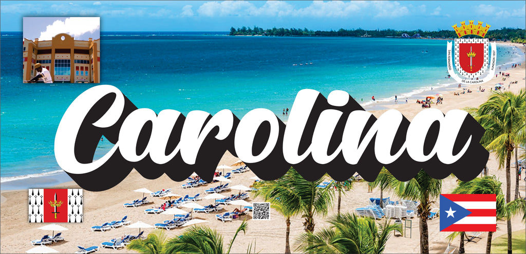 Carolina Puerto Rico Souvenirs PRS Town Set