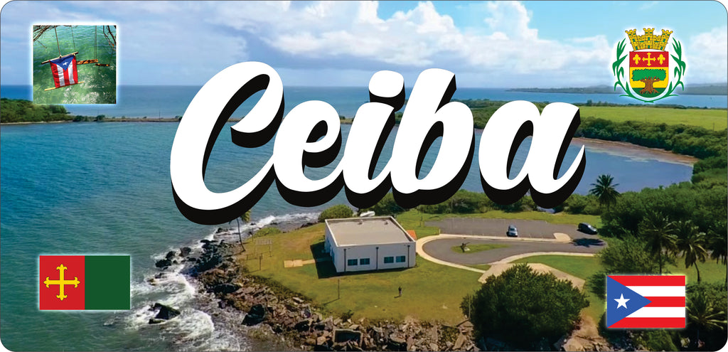 CEIBA Puerto Rico Souvenirs PRS Town Set