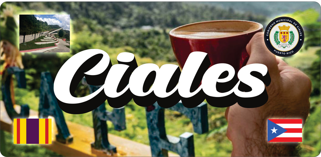 CIALES Puerto Rico Souvenirs PRS Town Set