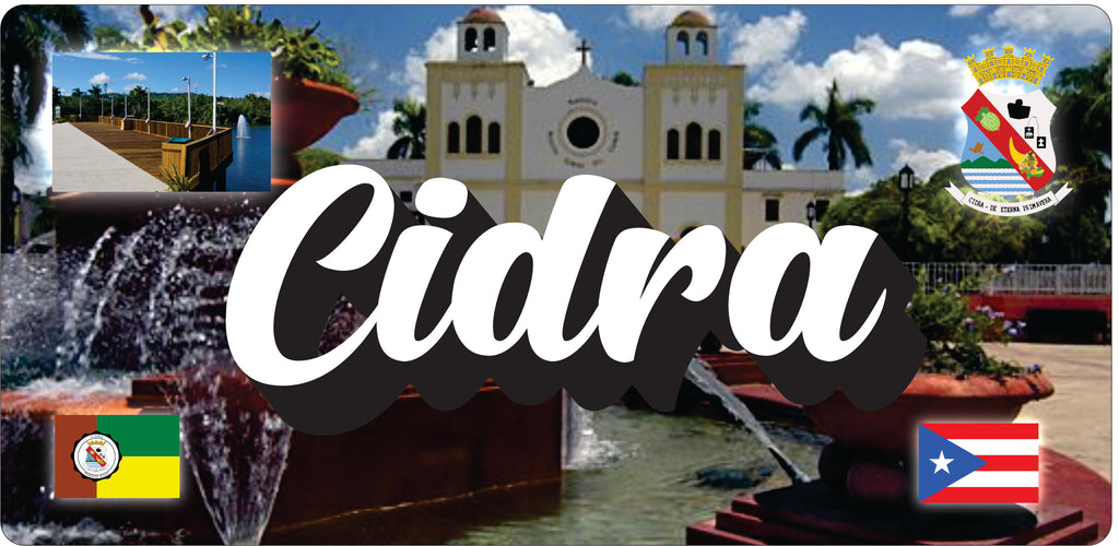 CIDRA Puerto Rico Souvenirs PRS Town Set