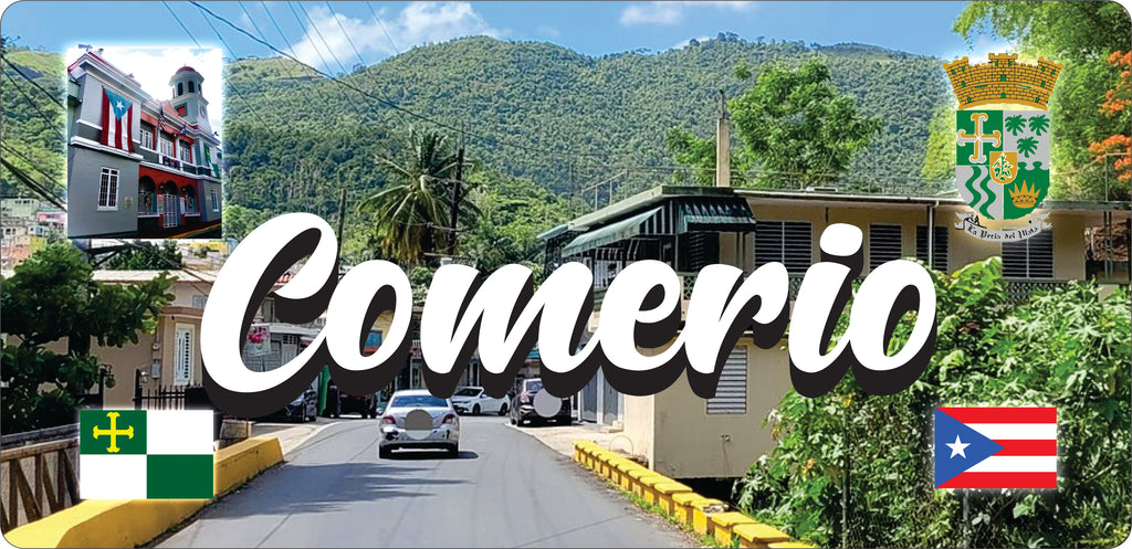 COMERIO Puerto Rico Souvenirs PRS Town Set