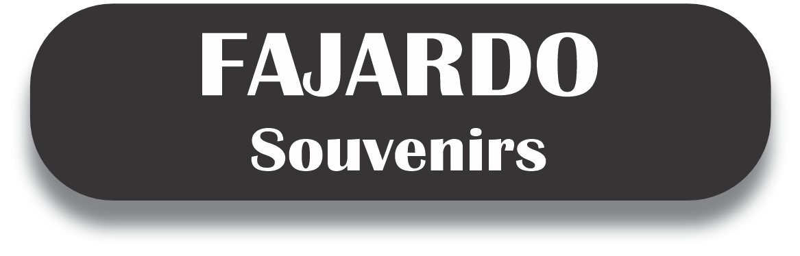 FAJARDO Puerto Rico Souvenirs PRS Town Set