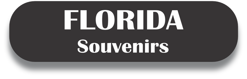 FLORIDA Puerto Rico Souvenirs PRS Town Set