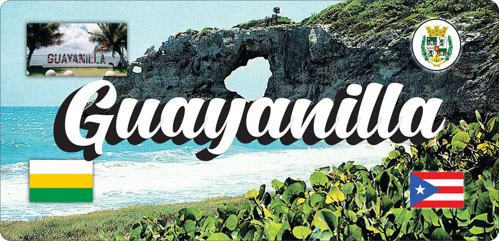 GUAYANILLA Puerto Rico Souvenirs PRS Town Set