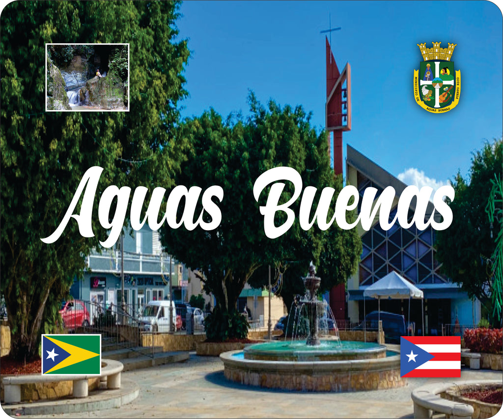 Aguas Buenas Puerto Rico Souvenirs PRS Town Set