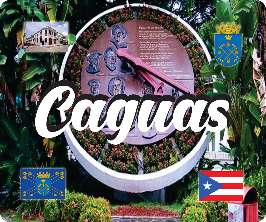 Caguas Puerto Rico Souvenirs PRS Town Set