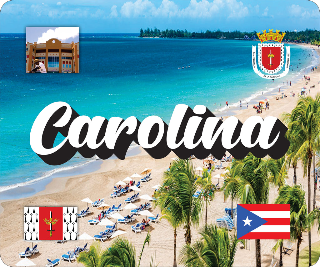 Carolina Puerto Rico Souvenirs PRS Town Set