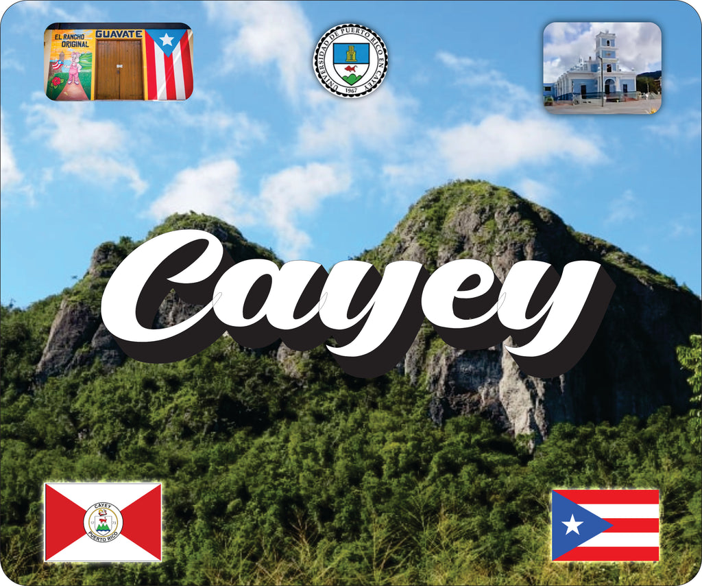 CAYEY Puerto Rico Souvenirs PRS Town Set