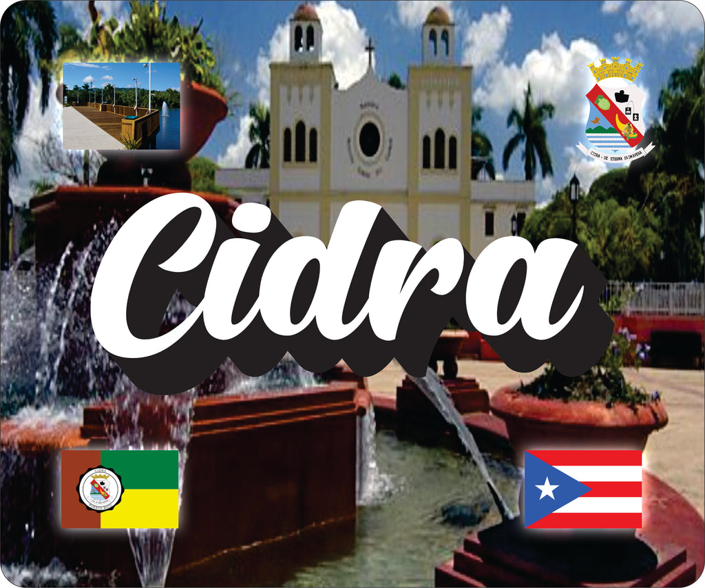 CIDRA Puerto Rico Souvenirs PRS Town Set