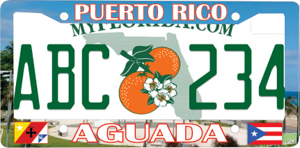 Aguada Puerto Rico Souvenirs PRS Town Set