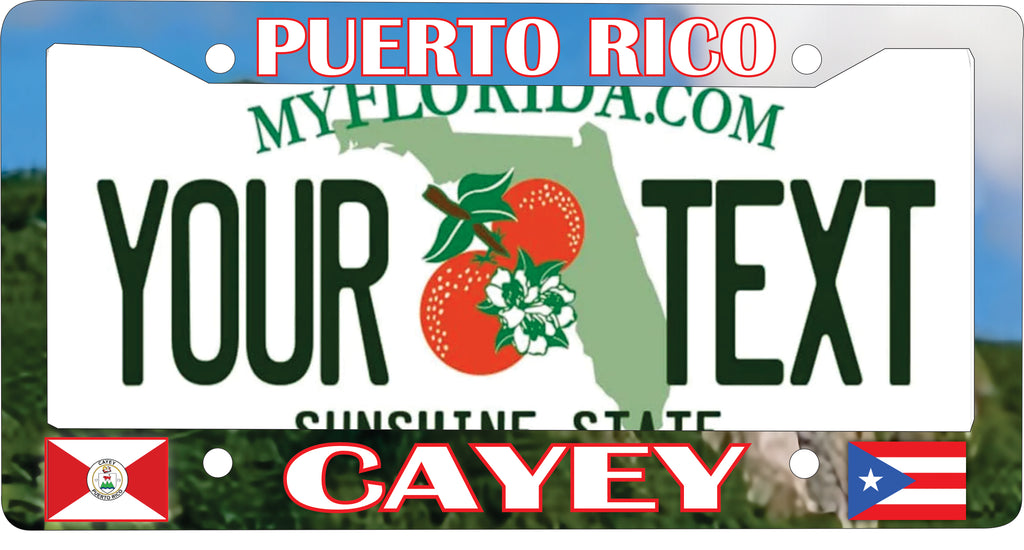 CAYEY Puerto Rico Souvenirs PRS Town Set