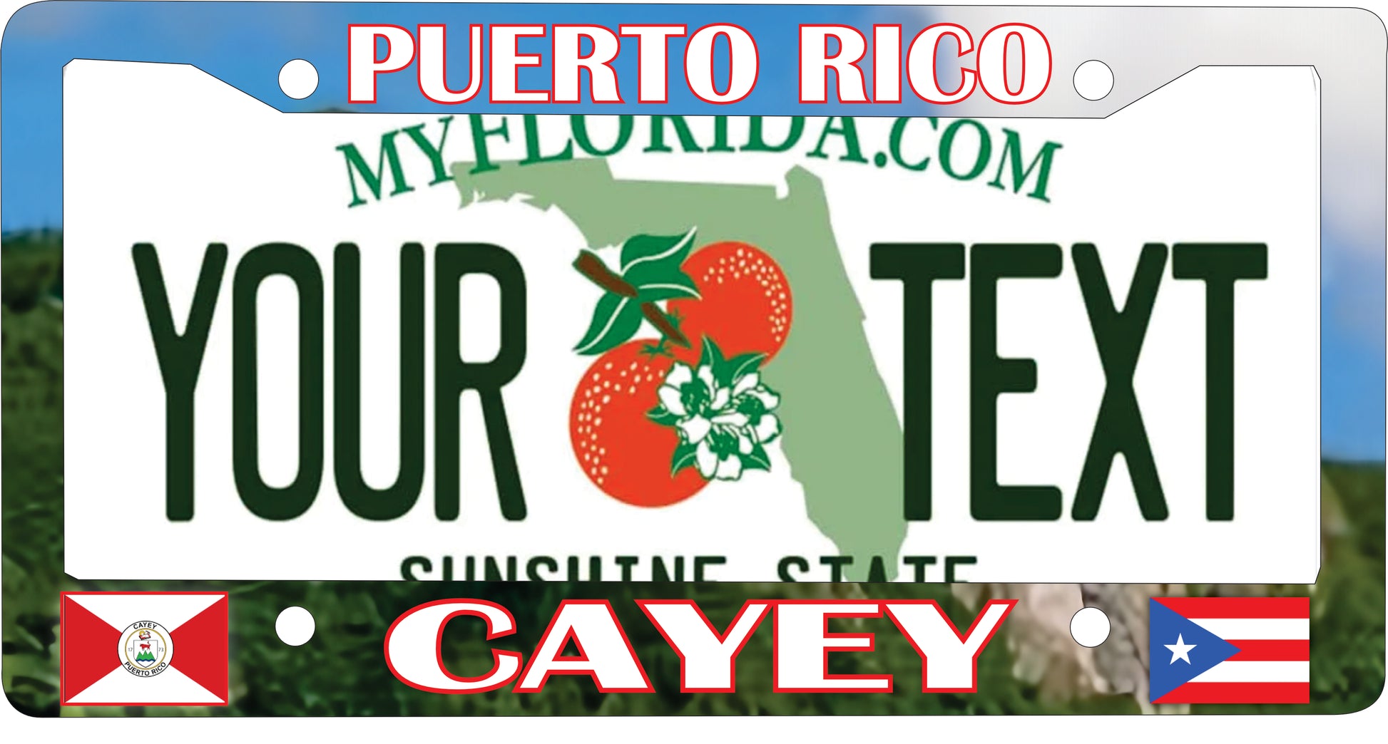 CAYEY Puerto Rico Souvenirs PRS Town Set