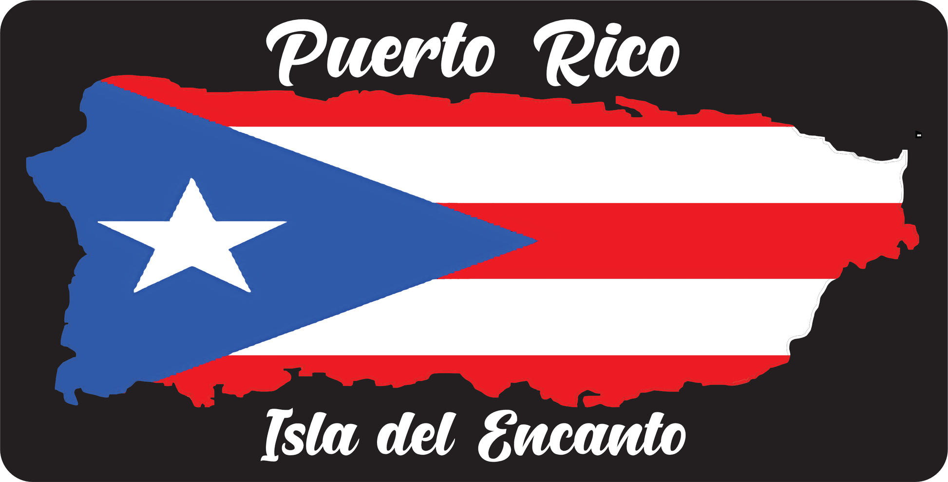 Placa de Puerto Rico y 78 Municipios
