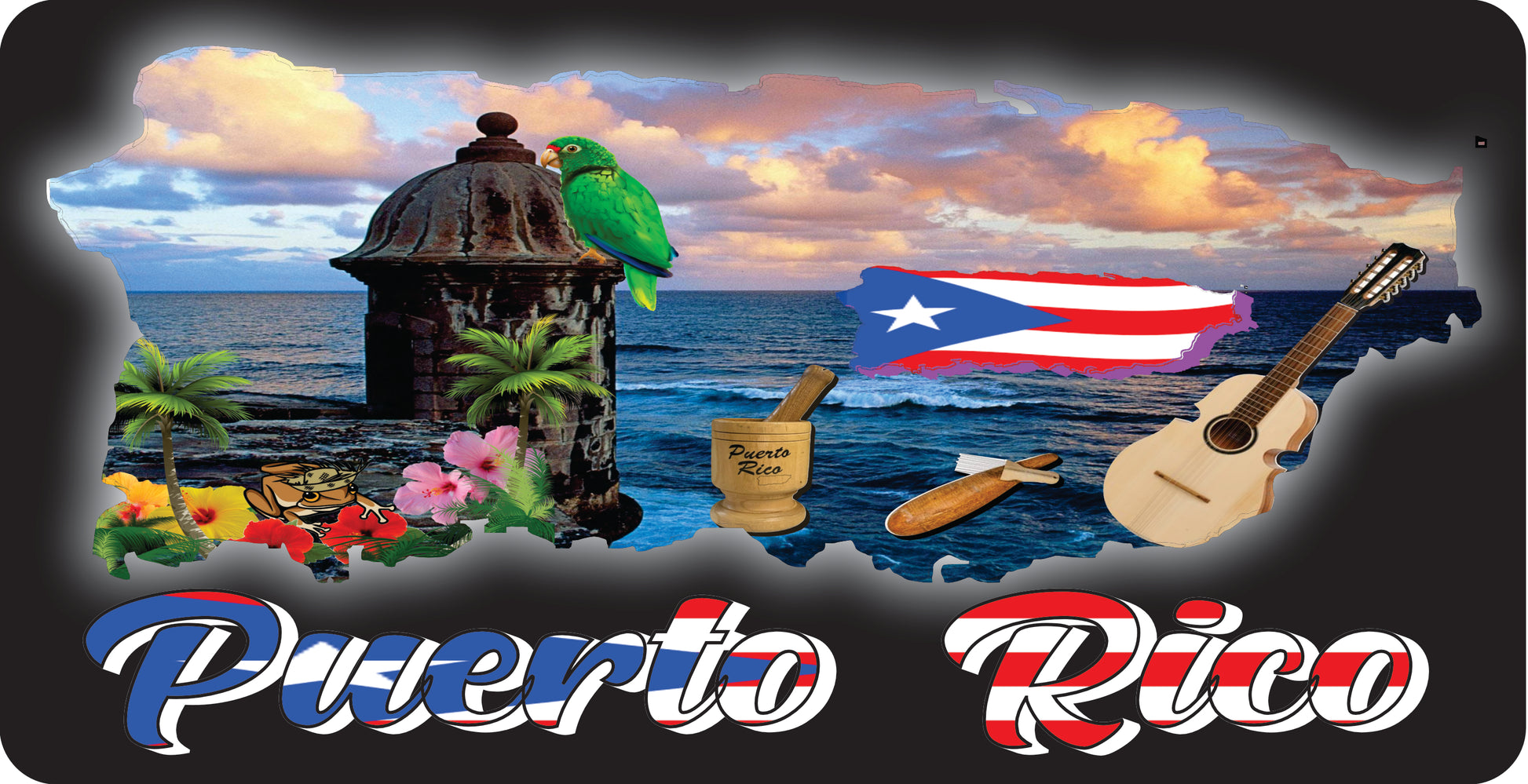 Placa de Puerto Rico y 78 Municipios