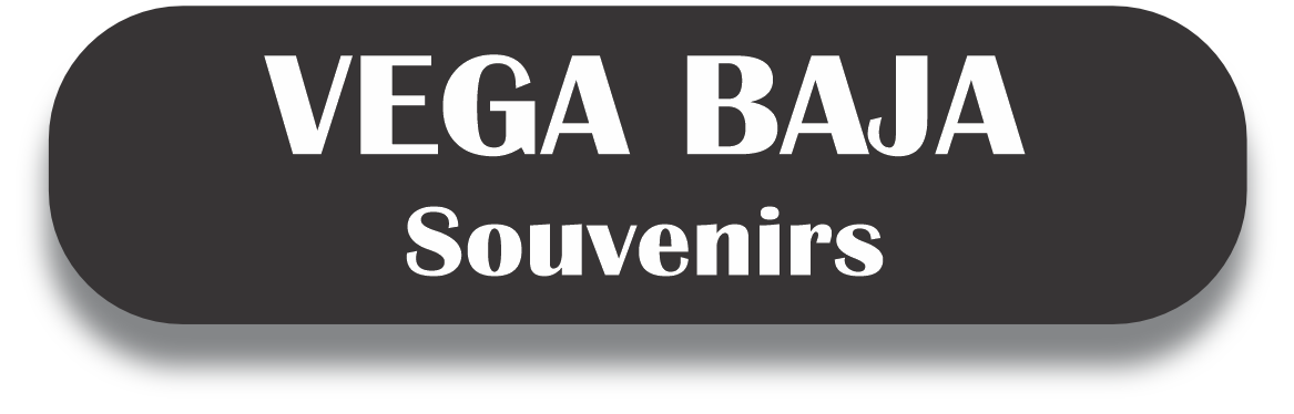 VEGA BAJA Puerto Rico Souvenirs PRS Town Set