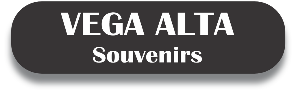 VEGA ALTA Puerto Rico Souvenirs PRS Town Set